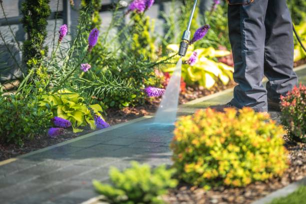 Best Concrete Surface Cleaning in Fairplains, NC